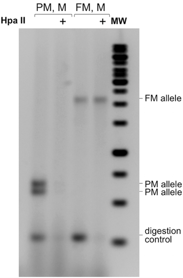 Supplemental Figure S3