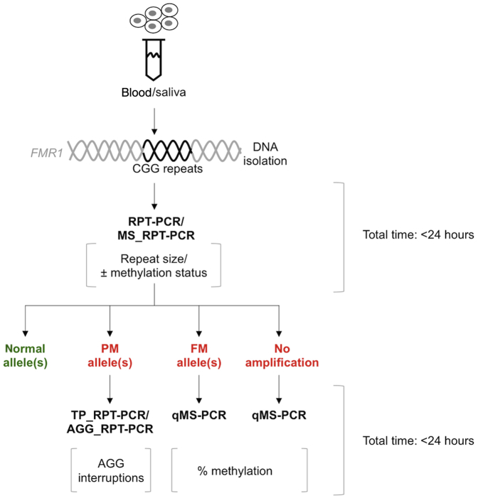 Figure 6