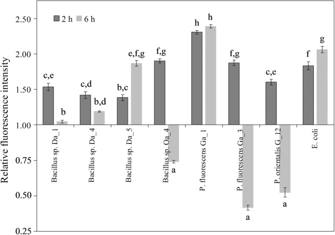 FIGURE 4