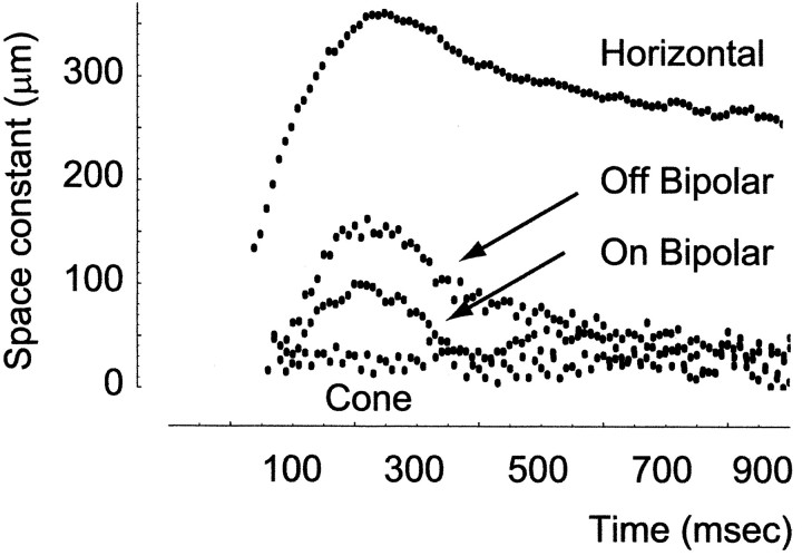 Fig. 10.