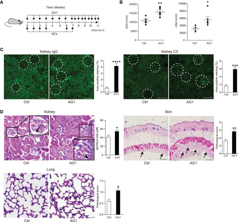 Figure 4