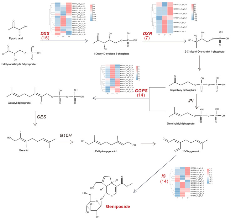 Figure 7