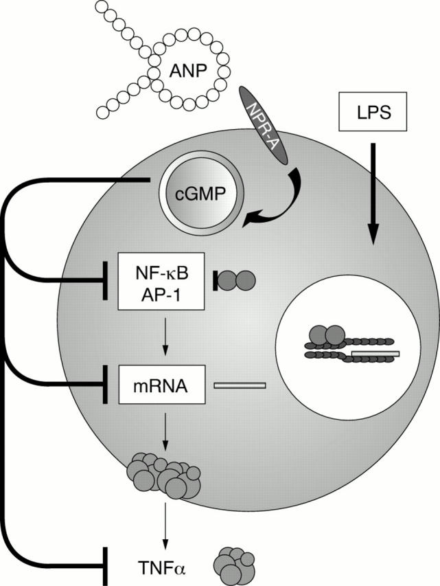 Figure 3  