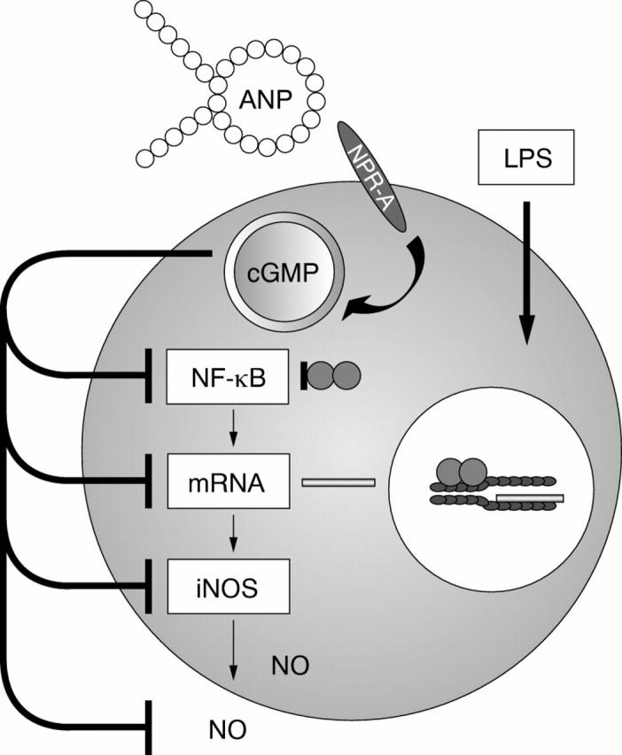 Figure 2  