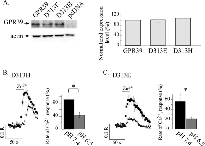 FIGURE 9.