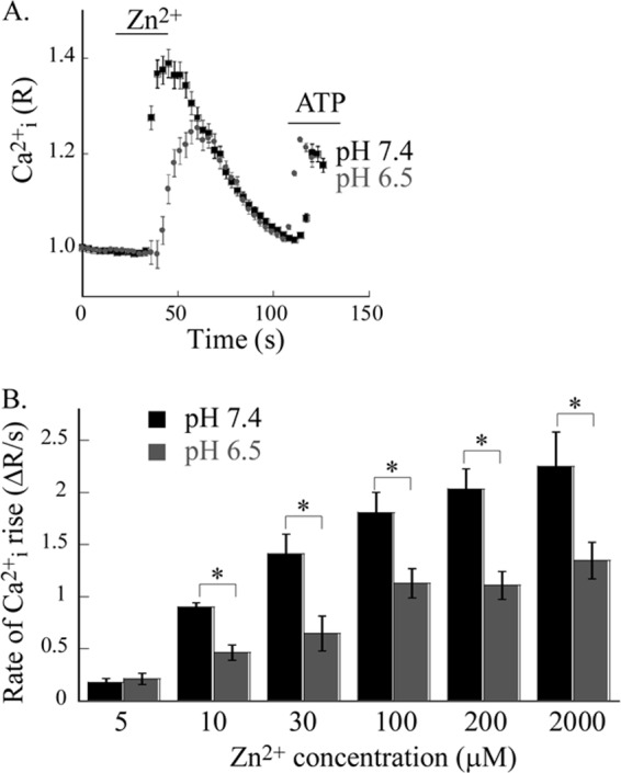 FIGURE 4.