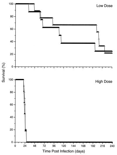 FIG. 6