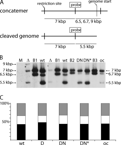 Fig. 8.