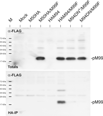 Fig. 10.