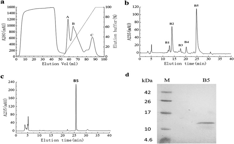 FIG 1