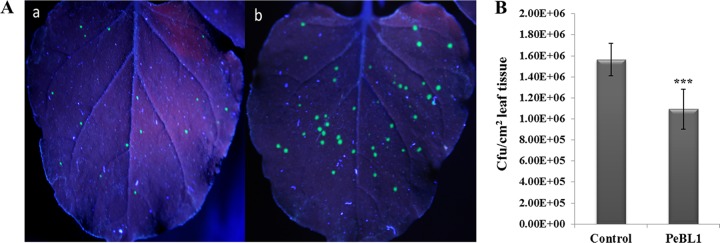 FIG 6