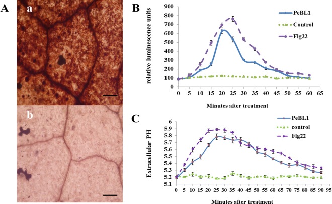 FIG 4