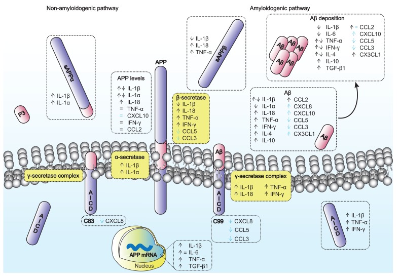 Fig. (1)