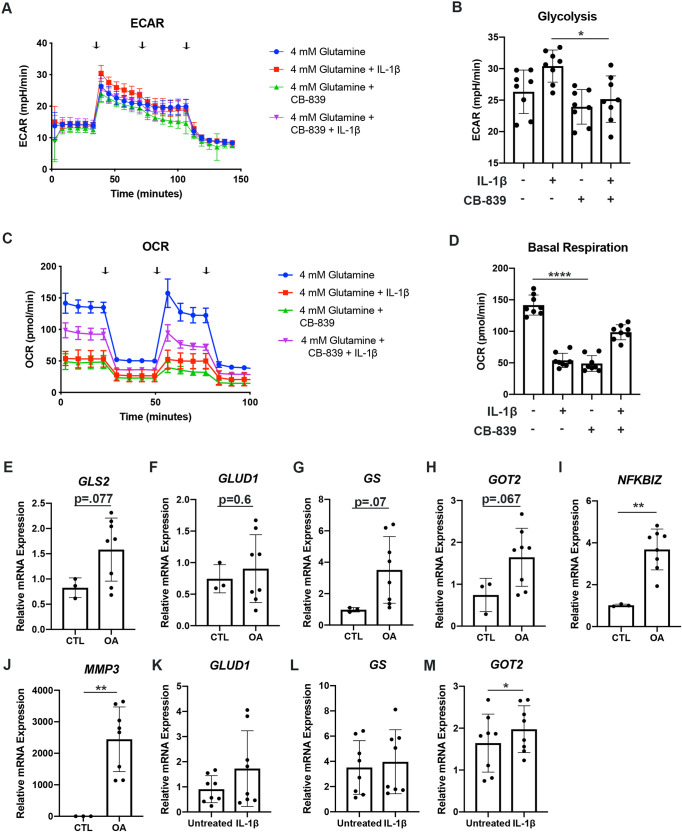 Figure 1—figure supplement 1.