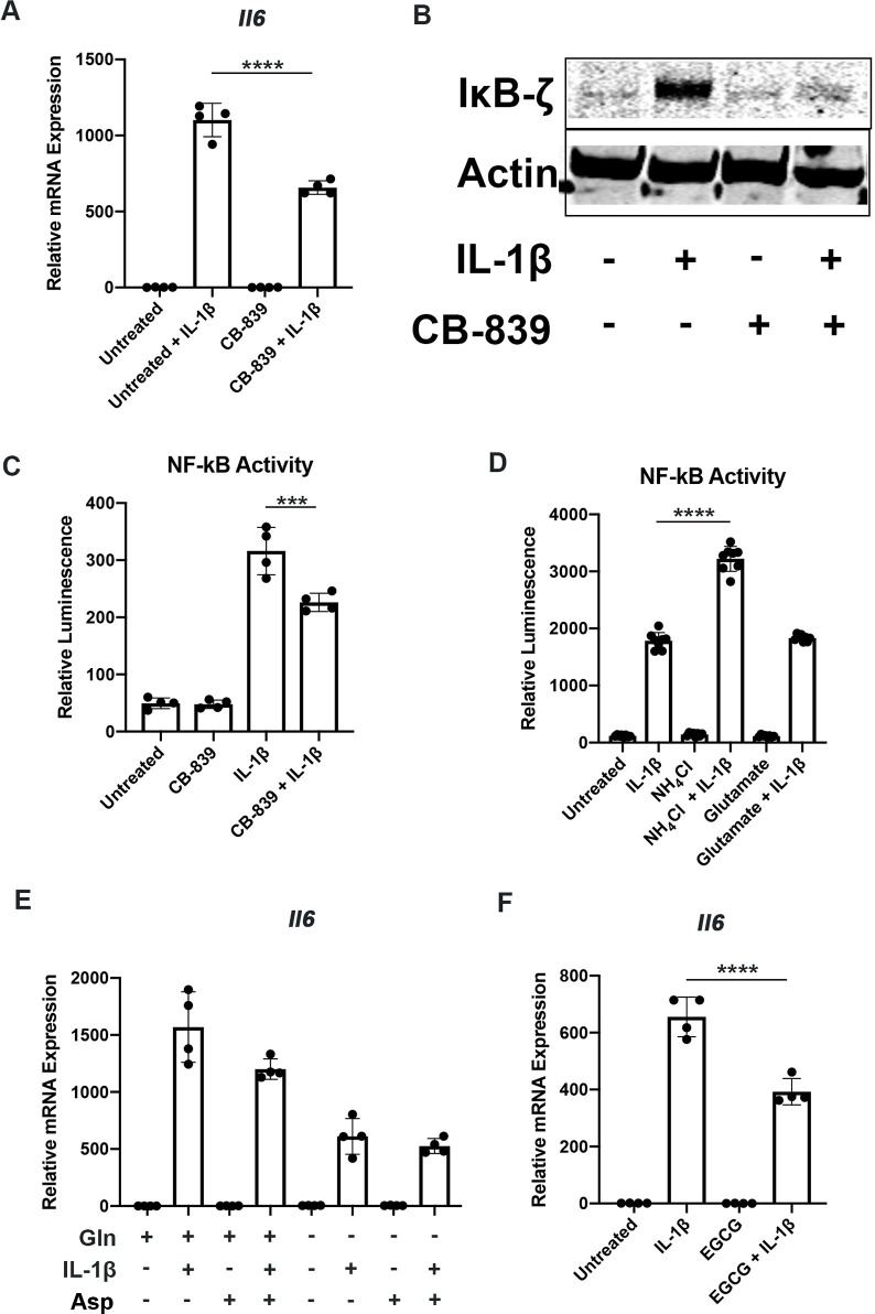 Figure 3—figure supplement 1.