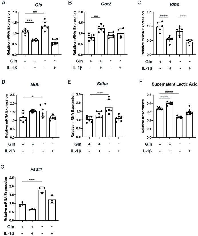 Figure 2—figure supplement 1.