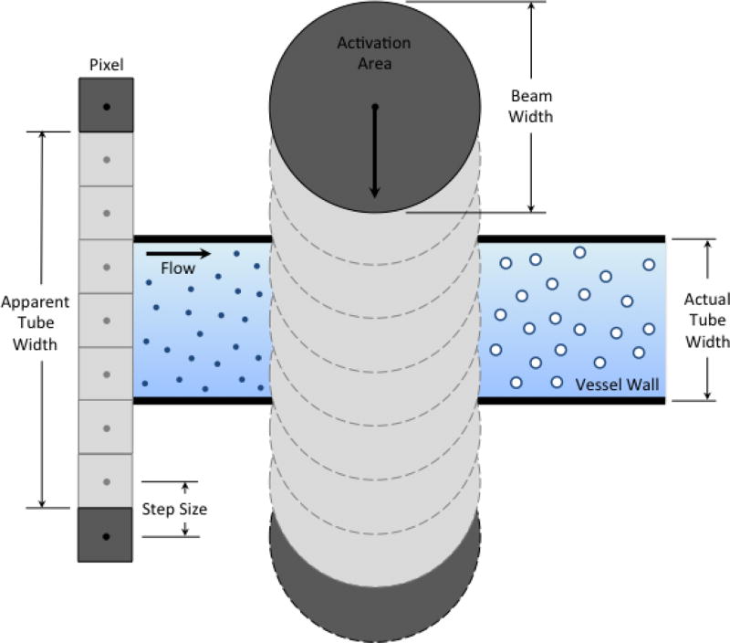 Fig. 7