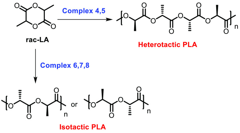 Scheme 5