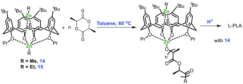 Scheme 7