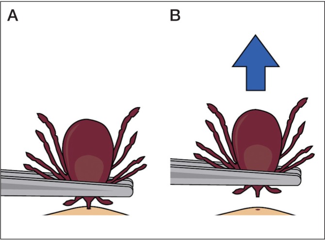 Figure 1)