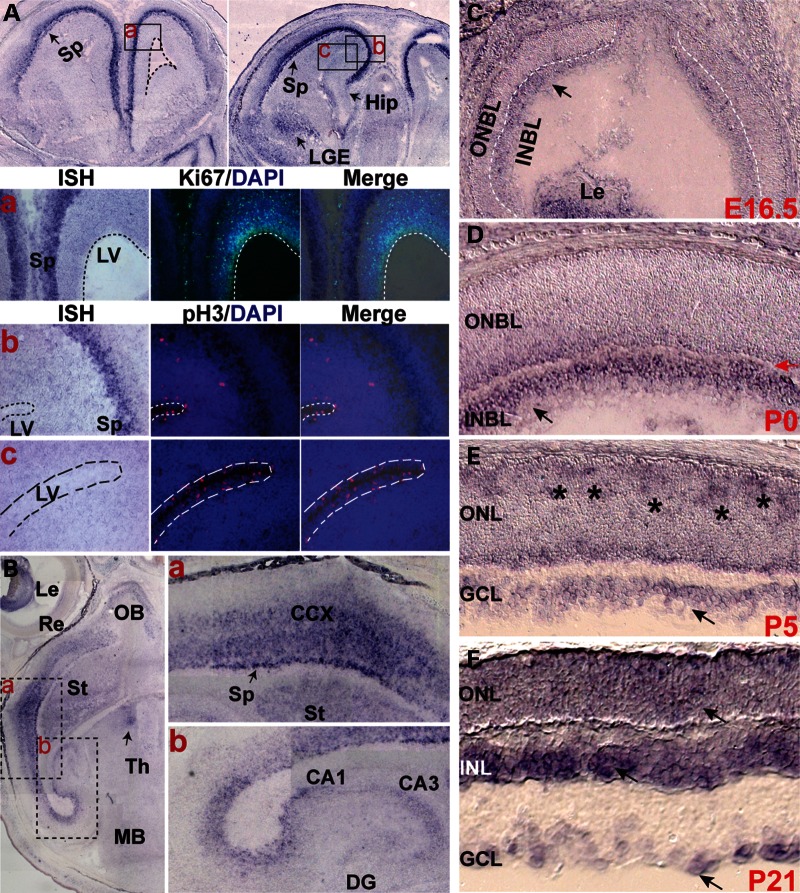 Figure 1.