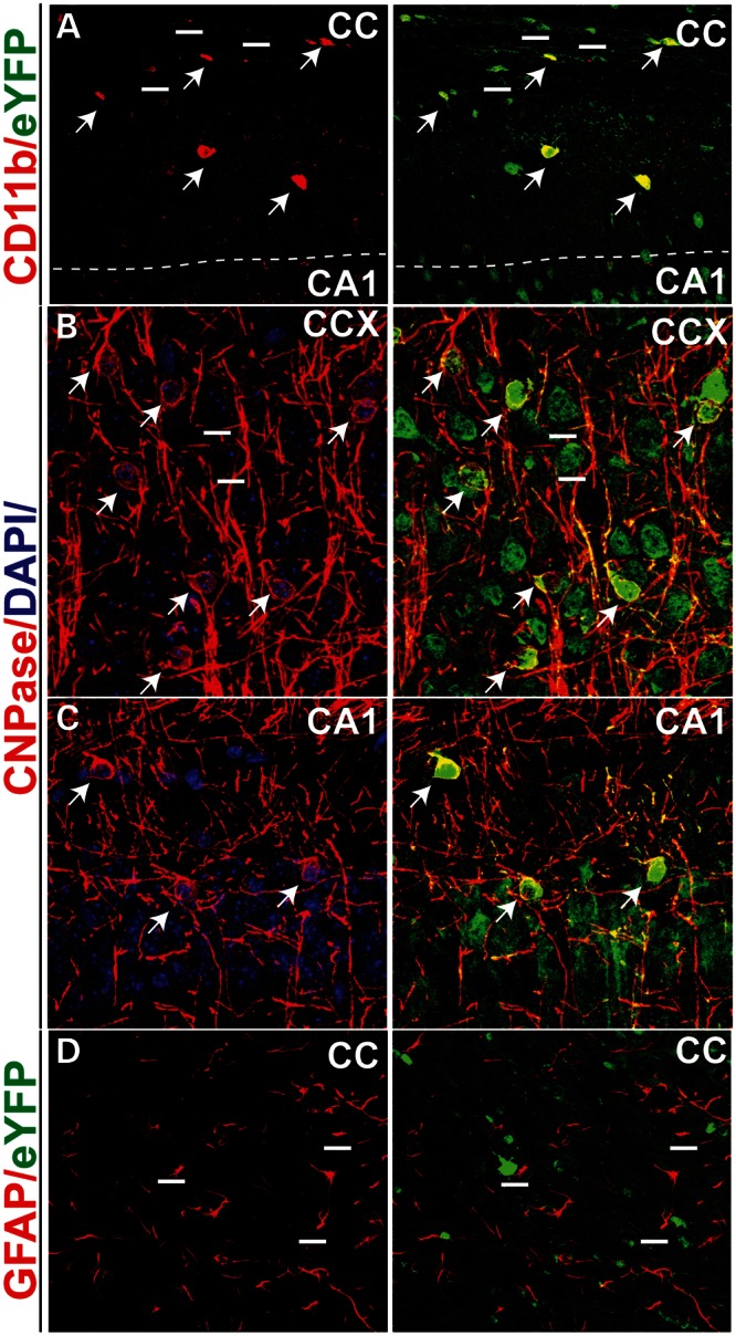 Figure 4.