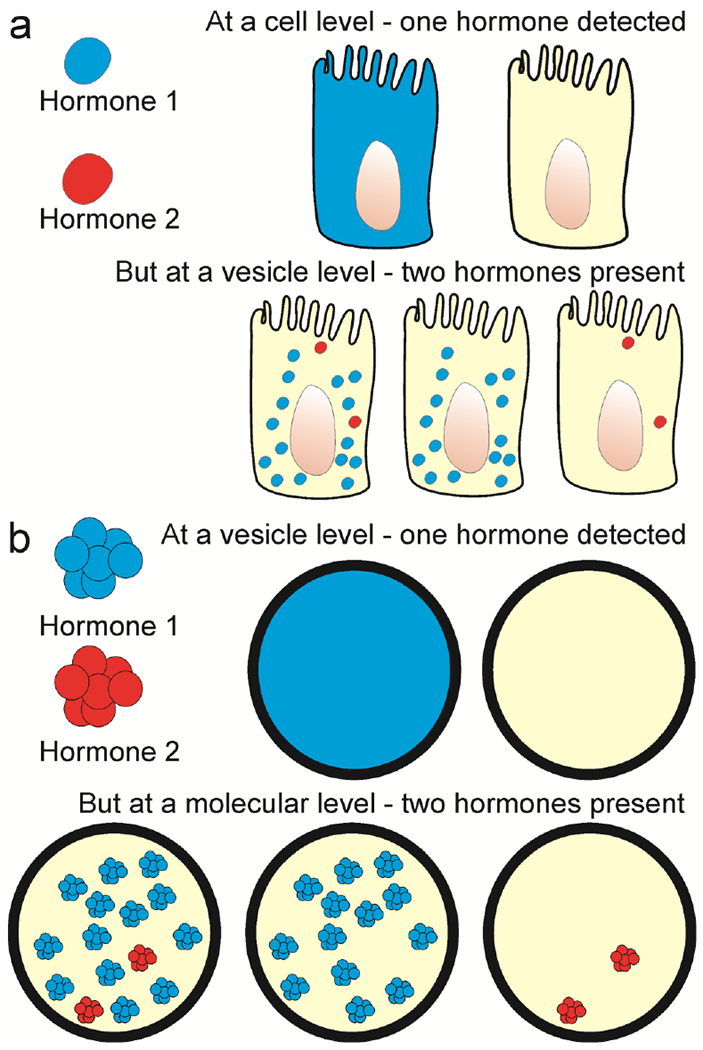 Fig 3.