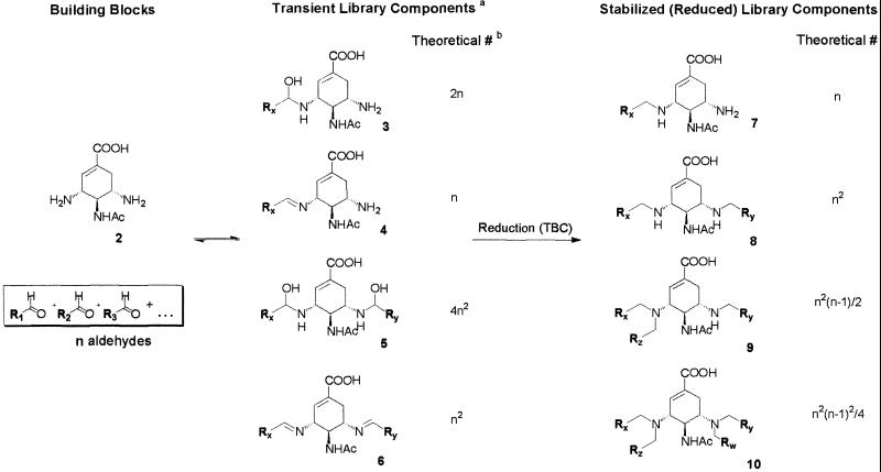 Scheme 1