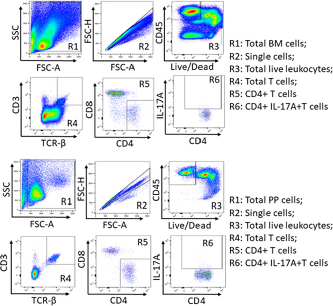 Figure 2—figure supplement 1.