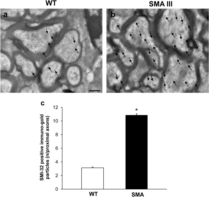 Fig. 10