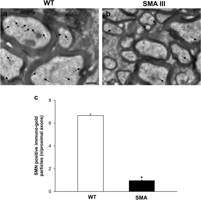 Fig. 11