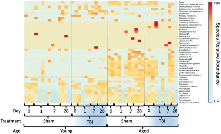 Figure 3: