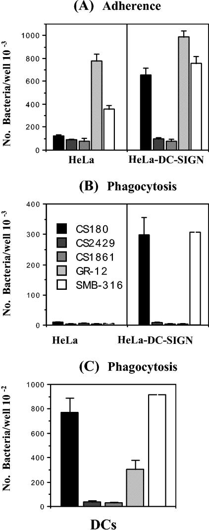 FIG. 4.