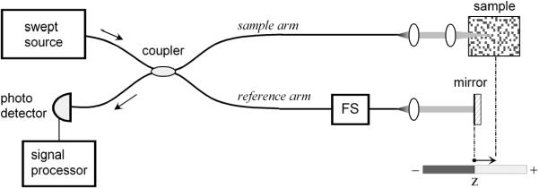 Fig. 1