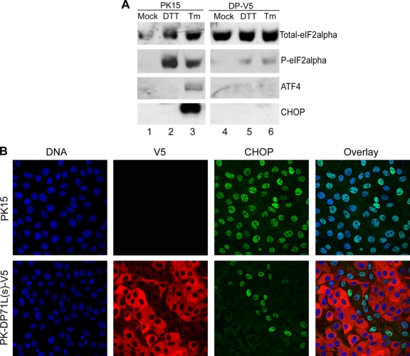 FIG. 6.