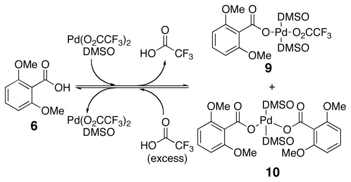 Scheme 5