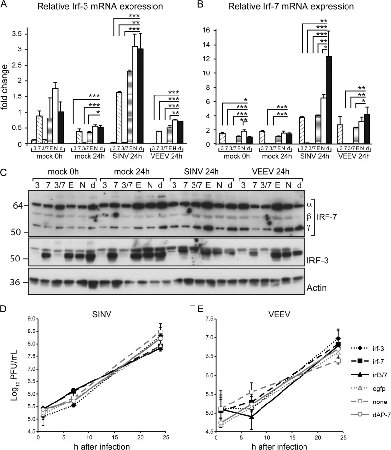 FIG 10