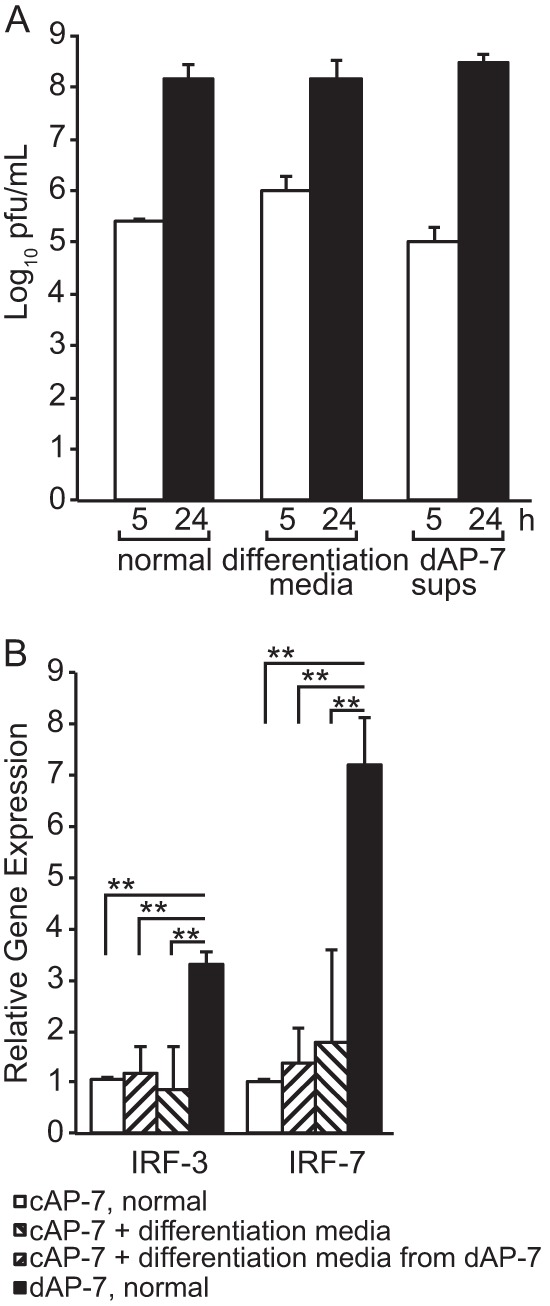 FIG 8