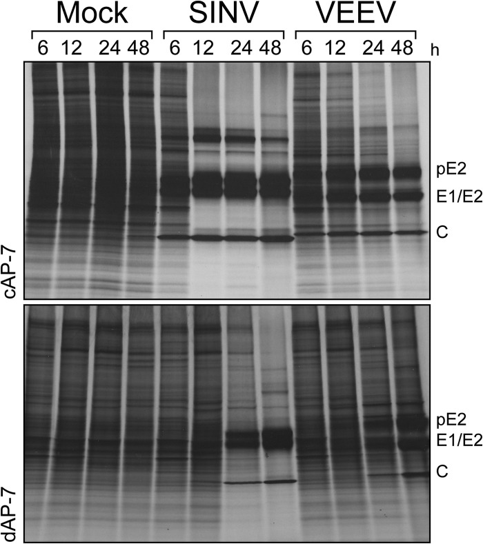 FIG 4