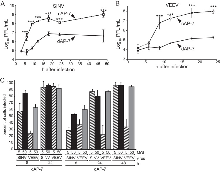 FIG 1