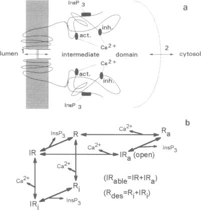 graphic file with name pnas01143-0420-a.jpg