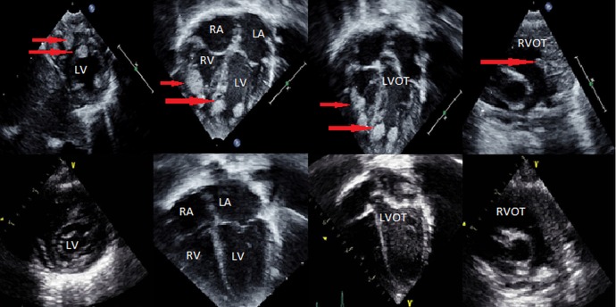 Figure 1