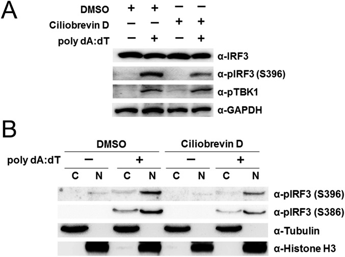 Fig. S6.