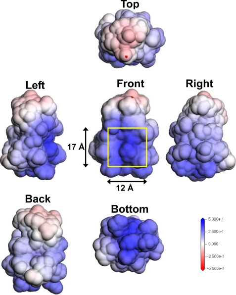 FIGURE 9.