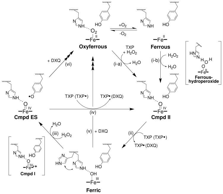 Scheme 1