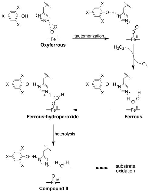 Scheme 2