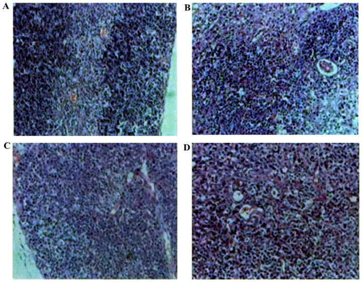 Figure 18