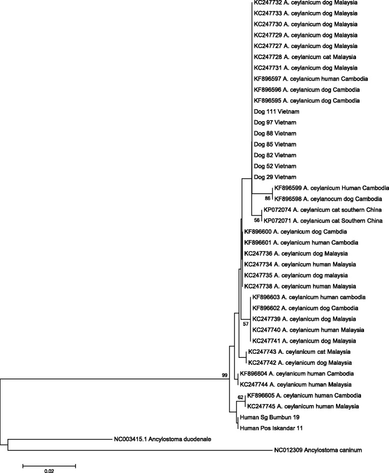 Fig. 2