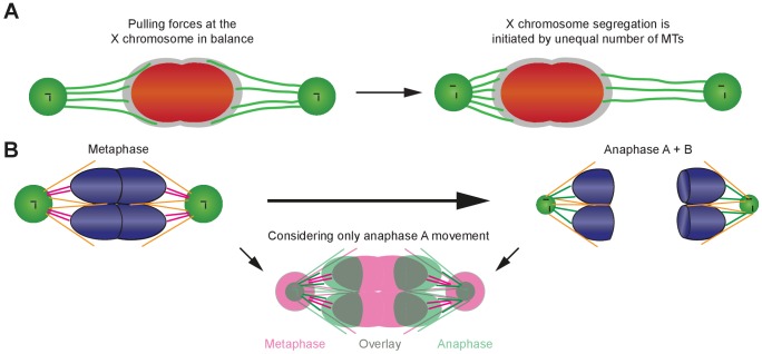 Appendix 1—figure 10.