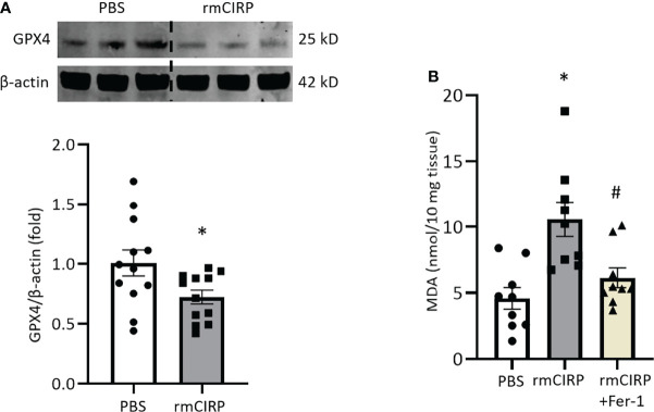 Figure 4